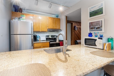 255 Old Mill Rd unit F15, Killington, VT 05751 - photo 6