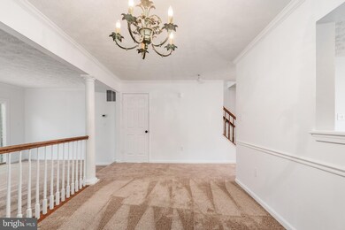 300 Park Cove Dr, Stafford, VA 22554 - photo 6