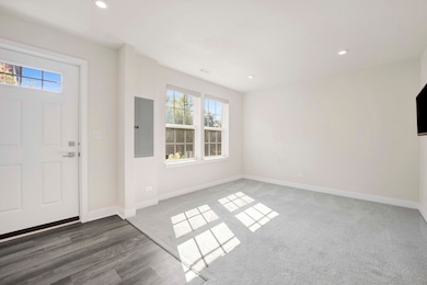 10617 Owain Way, Orland Park, IL 60462 - photo 3