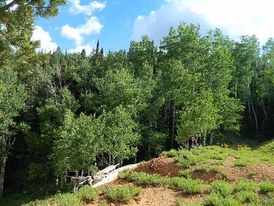 605 W Poppy Ct unit L-14 B-D U-C, Brian Head, UT 84719 - photo 6