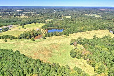 90 Ac White Rock Rd, Lincolnton, GA 30817 - photo 5