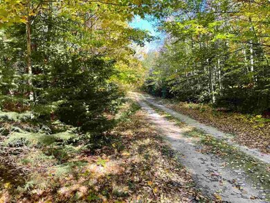 00000 Blue Spruce Rd, Beaver Island, MI 49782 - photo 7