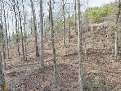 0 Waterfall Dr unit LOT G1 10436783, Clayton, GA 30525 - photo 3