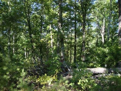 0 Slink Shoals Rd unit 3257290, Linden, TN 37096 - photo 7