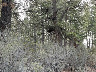 0 Incline Dr unit Lot 4 220182964, Chiloquin, OR 97624 - photo 7