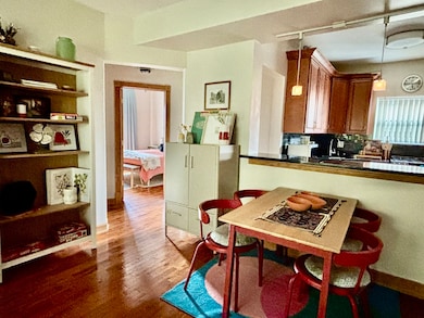 4411 N Sacramento Ave unit 1, Chicago, IL 60625 - photo 4