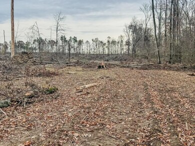 0 Big Creek Rd, Rison, AR 71665 - photo 7