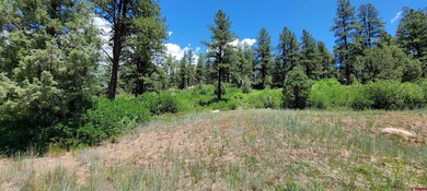 1156 Twin Buttes Ave, Durango, CO 81301 - photo 3