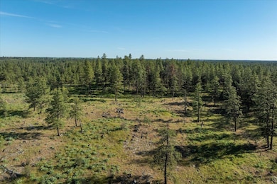 XXXX S Gateway Ln, Cheney, WA 99004 - photo 2