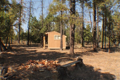Shed & Firepit area