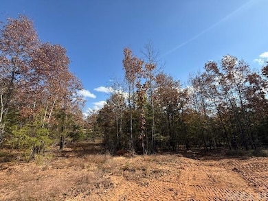 27 Summer Tyme Dr, Greenbrier, AR 72058 - photo 2