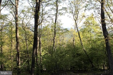 lot 353 Nathanial Mountain Rd, Moorefield, WV 26836 - photo 5