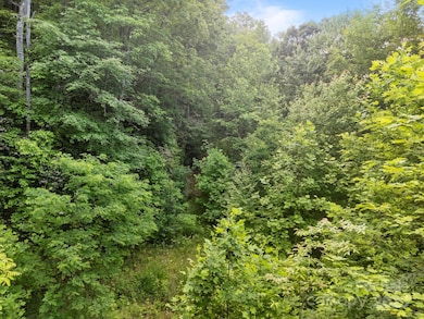 10 Turkey Trot Trail, Sylva, NC 28779 - photo 7