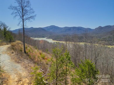 31 High Rock Ridge unit 31, Lake Lure, NC 28746 - photo 4