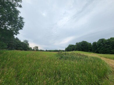 01 1 Mile Rd, Reed City, MI 49677 - photo 2