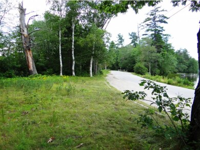 0 Wadleigh Hill Rd unit 4445528, Sutton, NH 03260 - photo 2