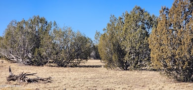 251 Se4 Juniperwood Ranch, Ash Fork, AZ 86320 - photo 3