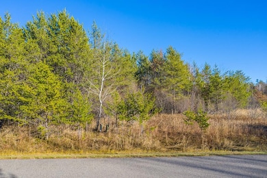 L11, B1 Meadow Ct, Baxter, MN 56425 - photo 3