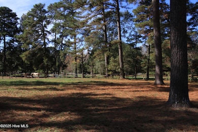 0 Cedar Lane Rd unit 100537646, Sanford, NC 27332 - photo 3