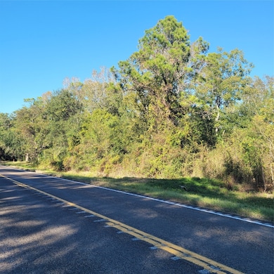 000 Farm To Market 562, Anahuac, TX 77514 - photo 7