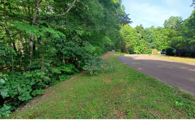 Additional View