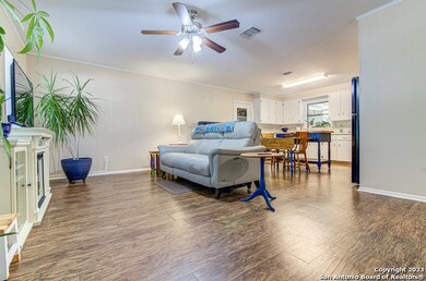 590 Gruene Rd, New Braunfels, TX 78130 - photo 7