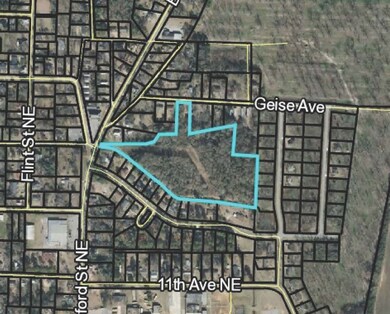 000 NE Geise St, Dawson, GA 39842 - photo 3