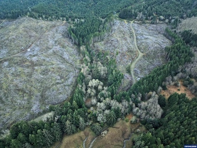 0 Wright Creek Rd, Toledo, OR 97366 - photo 3