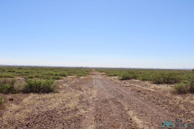0 Saguaro Rd SE unit 20223081, Deming, NM 88030 - photo 7