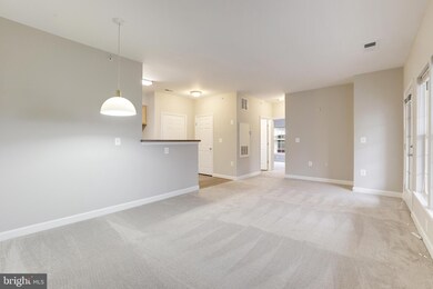 22607 Blue Elder Terrace unit 301, Ashburn, VA 20148 - photo 7