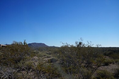 DSC02037