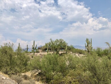 IMG-3174