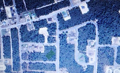 0 SW 175th Loop unit MFRO6195192, Ocala, FL 34473 - photo 3