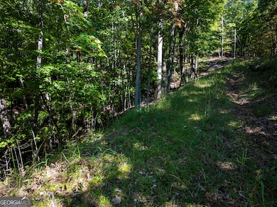 LOT 3- 2.3 ACRE Arrowhead Dr, Mineral Bluff, GA 30559 - photo 5