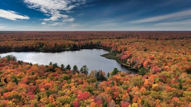 DJI_0103