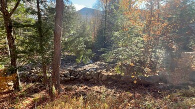 00 Dundee Rd unit R00, Bartlett, NH 03812 - photo 6