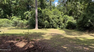 961 Ceasar Rd, Picayune, MS 39466 - photo 2