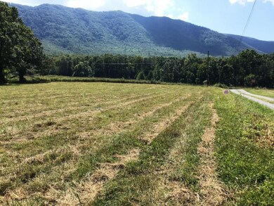 Lot 26 Cutshaw Ln, Greeneville, TN 37743 - photo 5