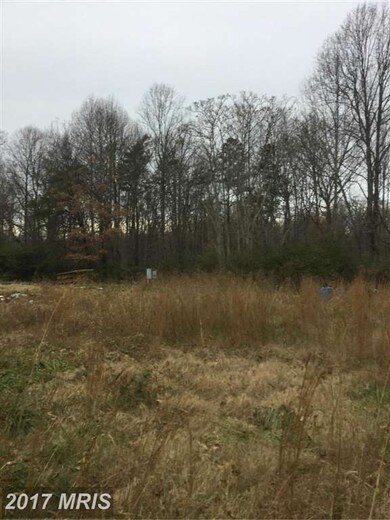 20447 Shady Grove Ln, Orange, VA 22960 - photo 6