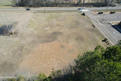 0 Stark Rd, Starkville, MS 39759 - photo 3