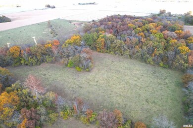 0 1380 E, Kane Township, IL 62054 - photo 7