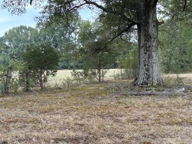 1524 Bland Chapel Rd, Ward, AR 72176 - photo 4