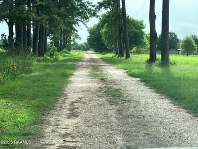 TBD Bearb Photo2