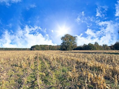 1432 S Friendfield Rd, Scranton, SC 29591 - photo 5