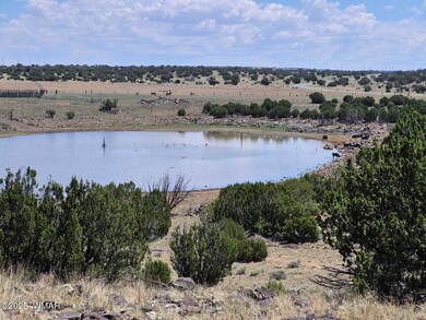 0 Cr 8637 Lots 195 & 196 unit 252871, Concho, AZ 85924 - photo 4