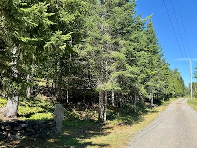 Lot 13 Red Rock Estates, Pembroke, ME 04666 - photo 4