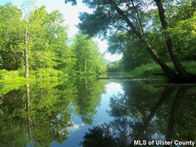 428 N Riverside Rd, Highland, NY 12528 - photo 5