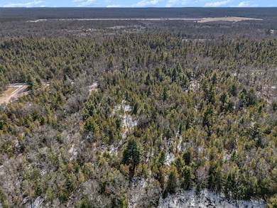 004_dji_20250310151019_0421_d_979