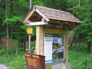 0 Lake Desolation Rd unit 201821397, Middle Grove, NY 12850 - photo 3