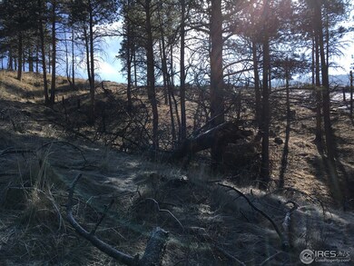 826 Davis Ranch Rd, Bellvue, CO 80512 - photo 6